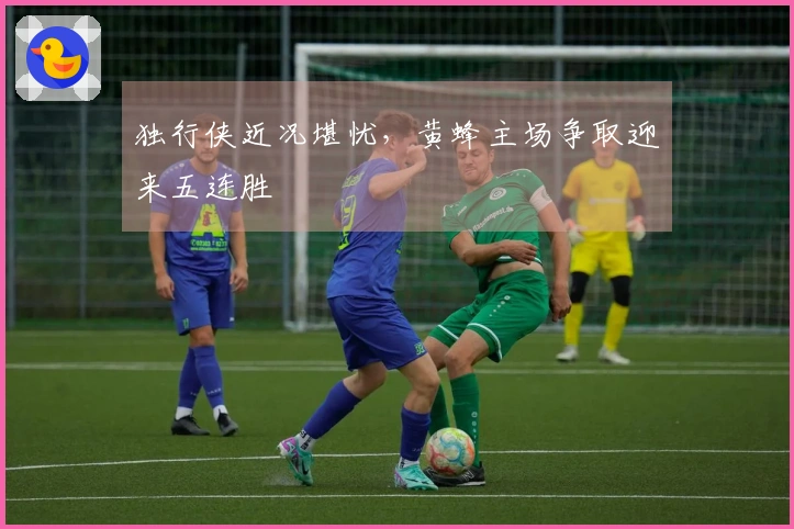 独行侠近况堪忧，黄蜂主场争取迎来五连胜