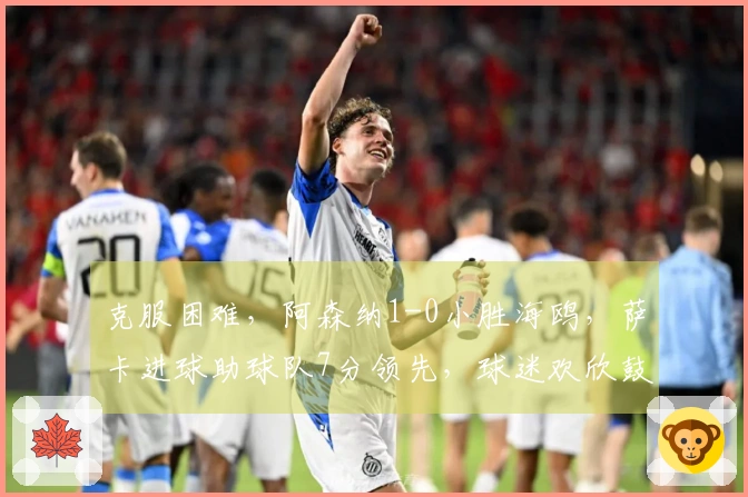 克服困难，阿森纳1-0小胜海鸥，萨卡进球助球队7分领先，球迷欢欣鼓舞