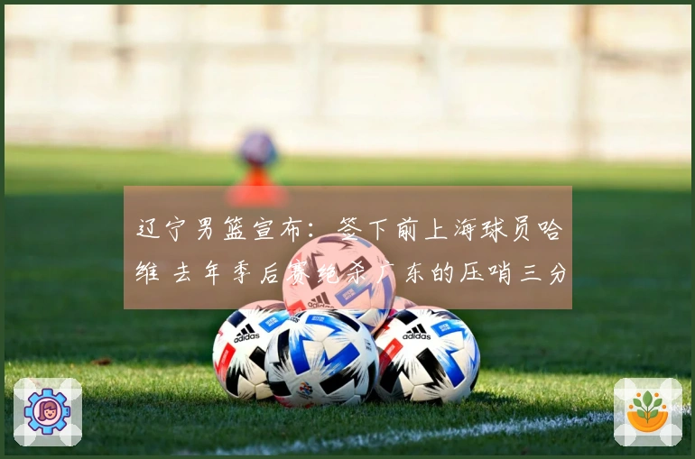 辽宁男篮宣布：签下前上海球员哈维 去年季后赛绝杀广东的压哨三分