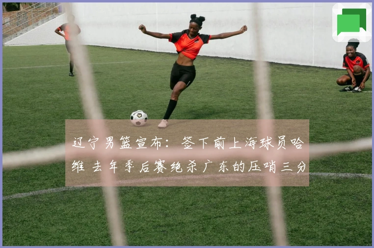 辽宁男篮宣布：签下前上海球员哈维 去年季后赛绝杀广东的压哨三分