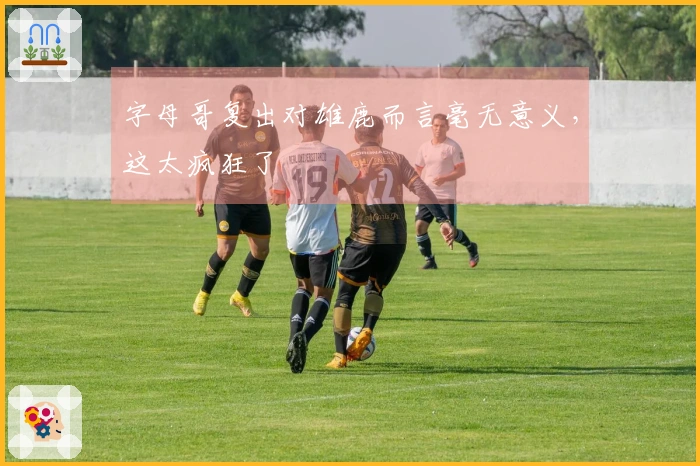 字母哥复出对雄鹿而言毫无意义，这太疯狂了